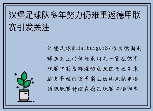 汉堡足球队多年努力仍难重返德甲联赛引发关注